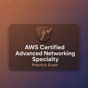 AWS Certified Advanced Networking – Specialty Practise Exam
